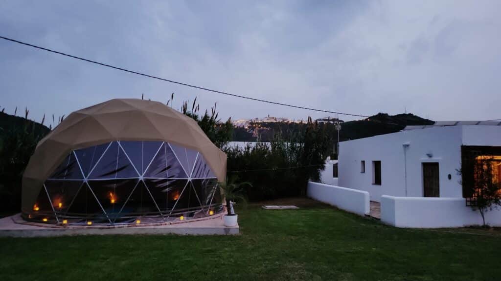 Magic Mushromm Healing Retreat 2