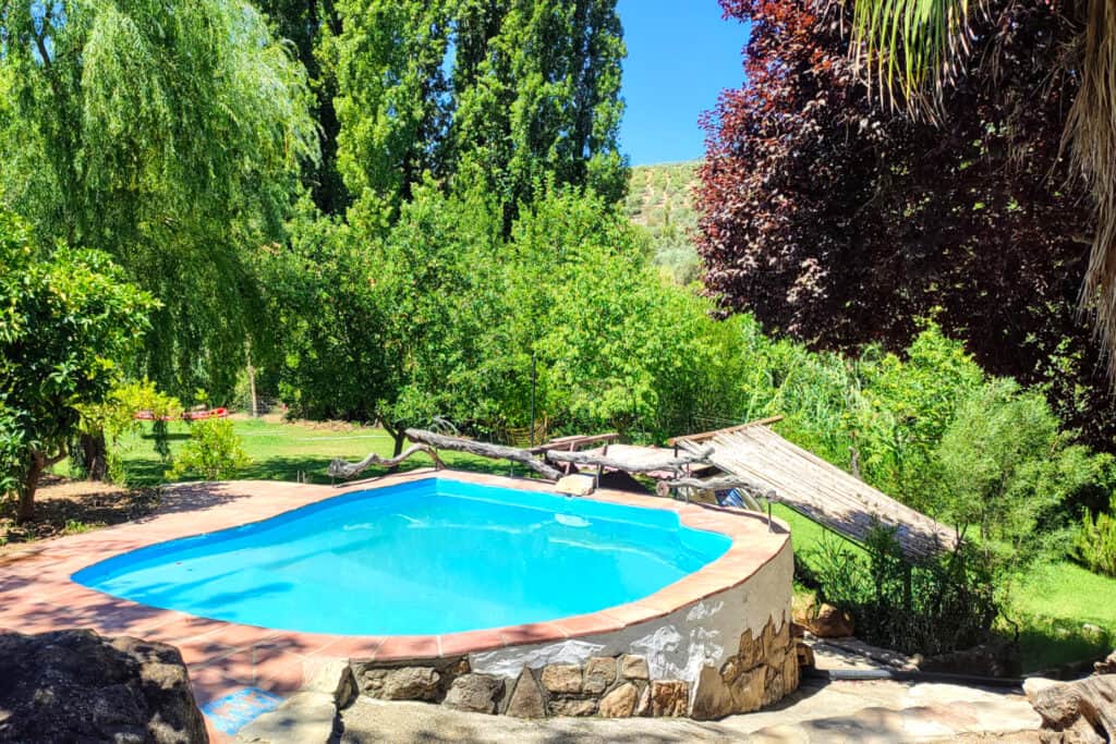 Spirit of HorseWhispering 8