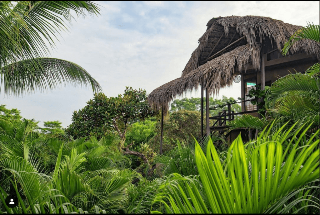 Villas Adriana Palenque 2