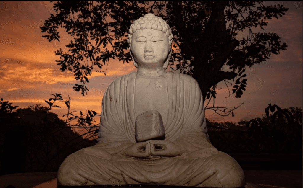 Villas Adriana Palenque 6