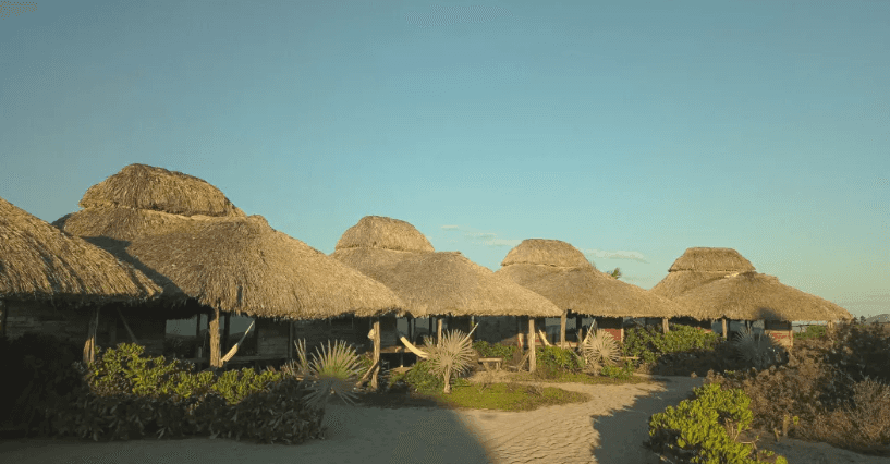 Bufo Alvarius Retreats 2