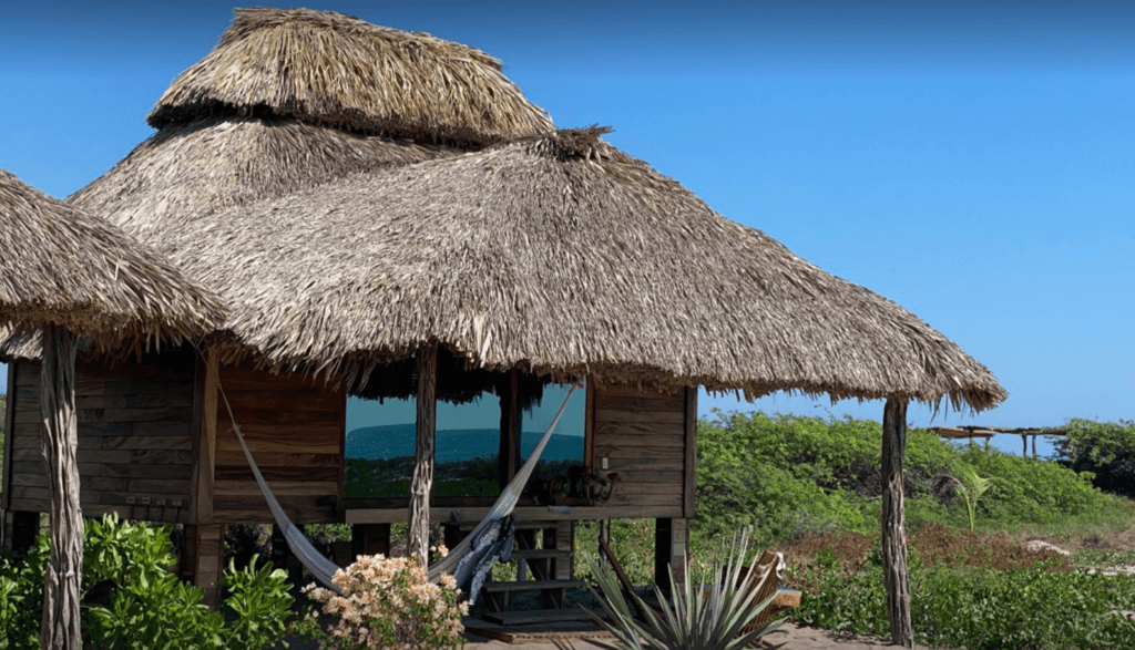 Bufo Alvarius Retreats 8