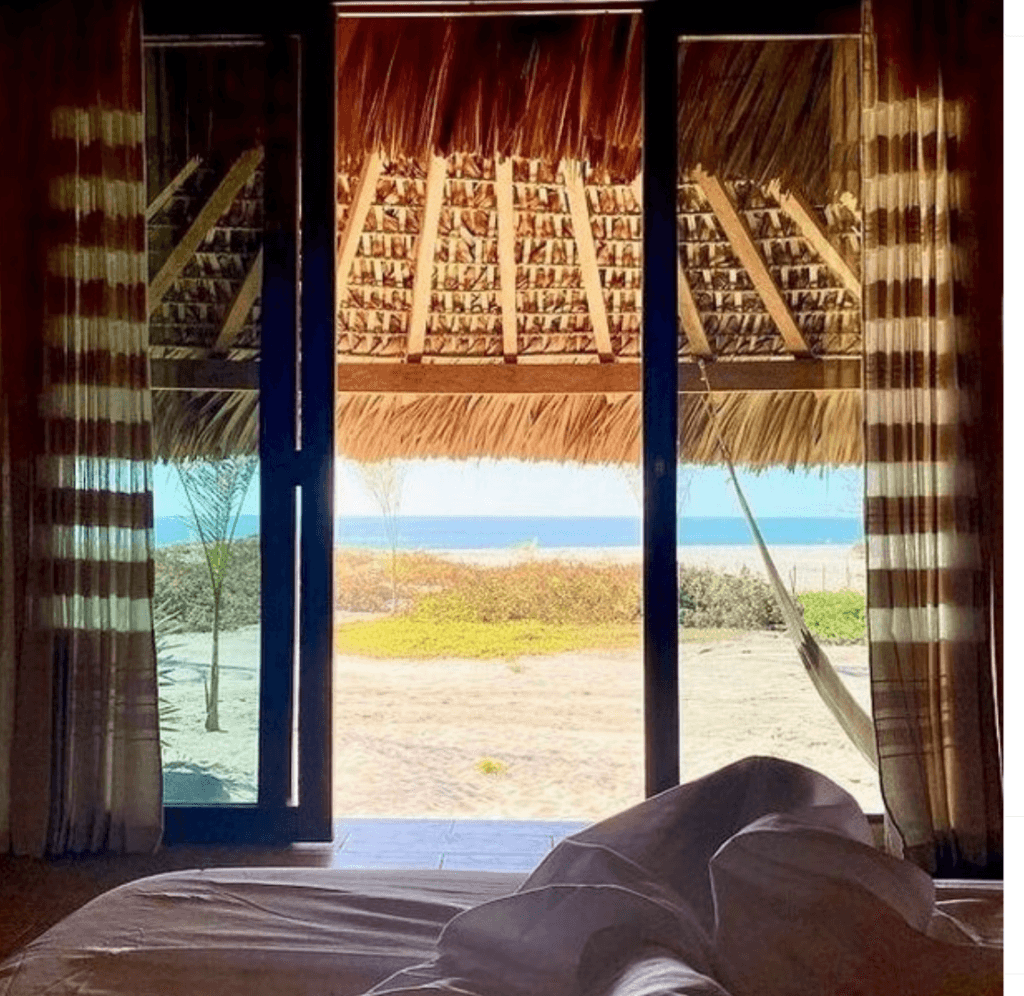 Bufo Alvarius Retreats 4