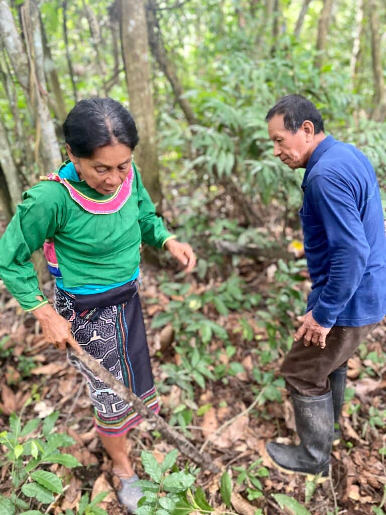 Epicenter Ayahuasca 7