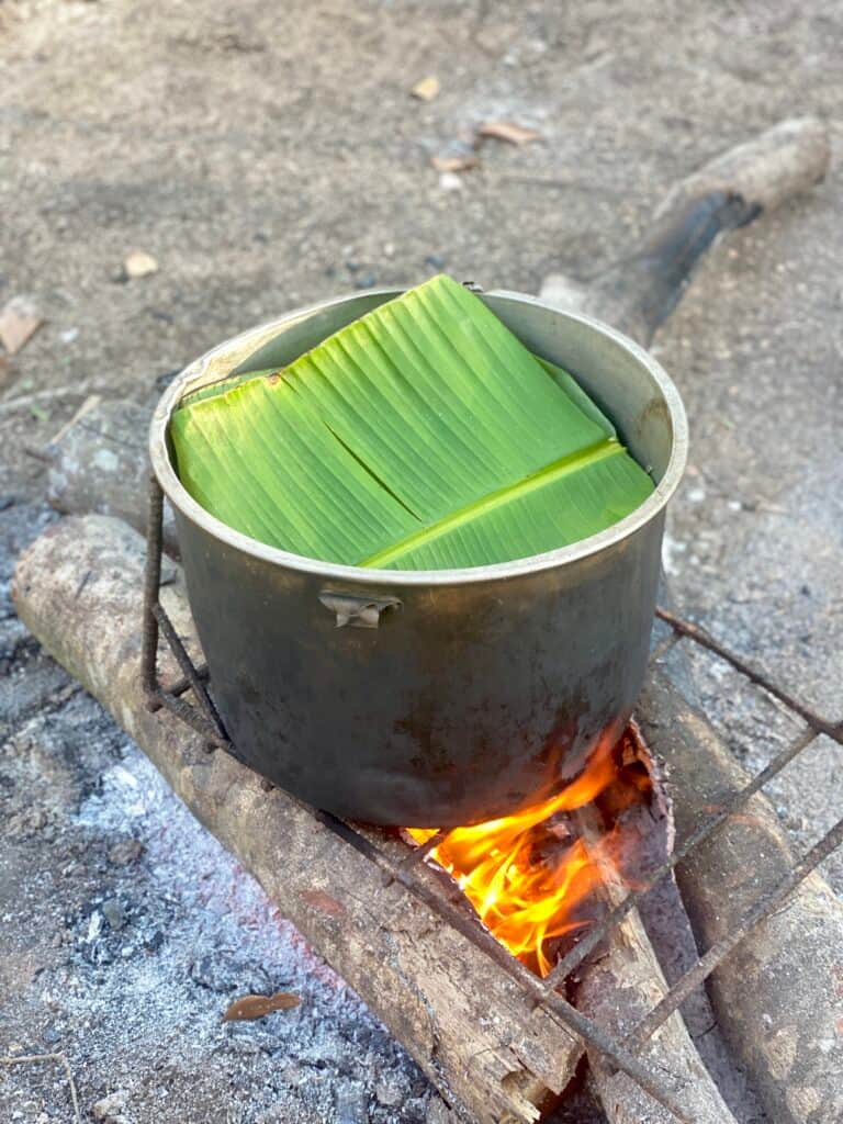 Epicenter Ayahuasca 3