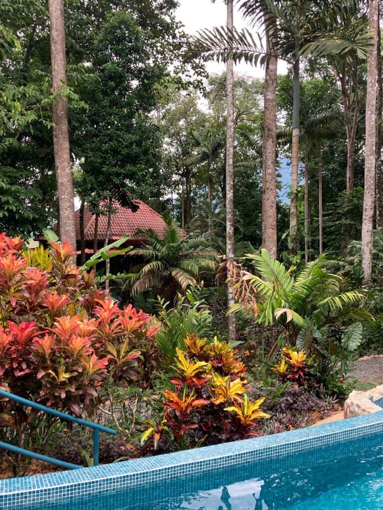 Costa Rica Jungle Retreats 5