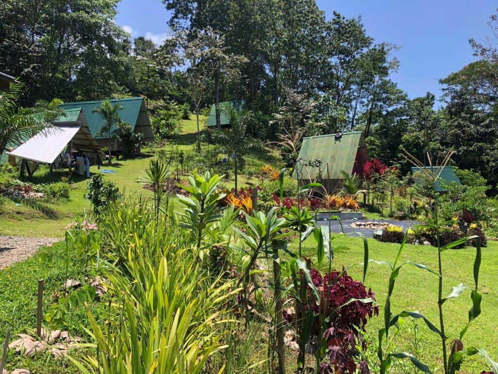 Finca Las Hormigas 4