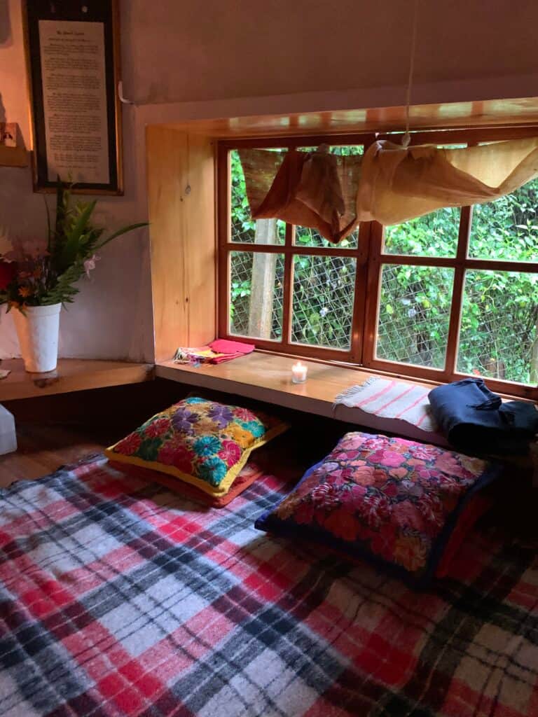 My Plant Medicine Journey 7