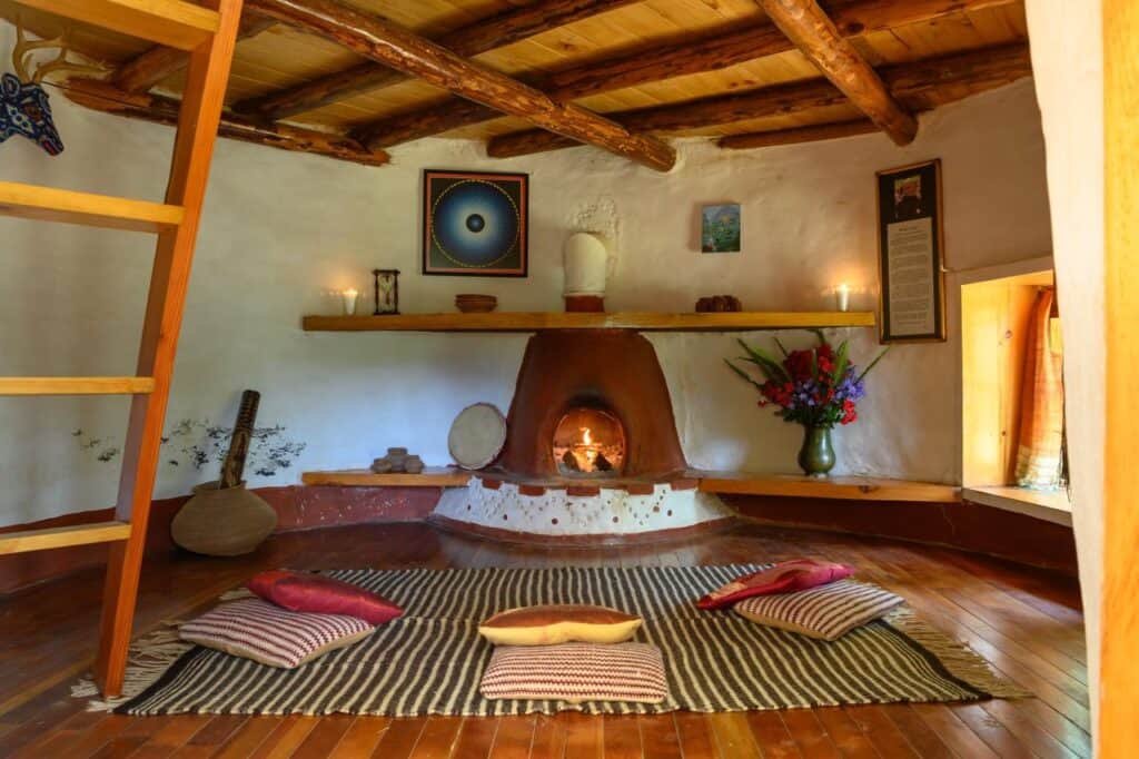 My Plant Medicine Journey 5