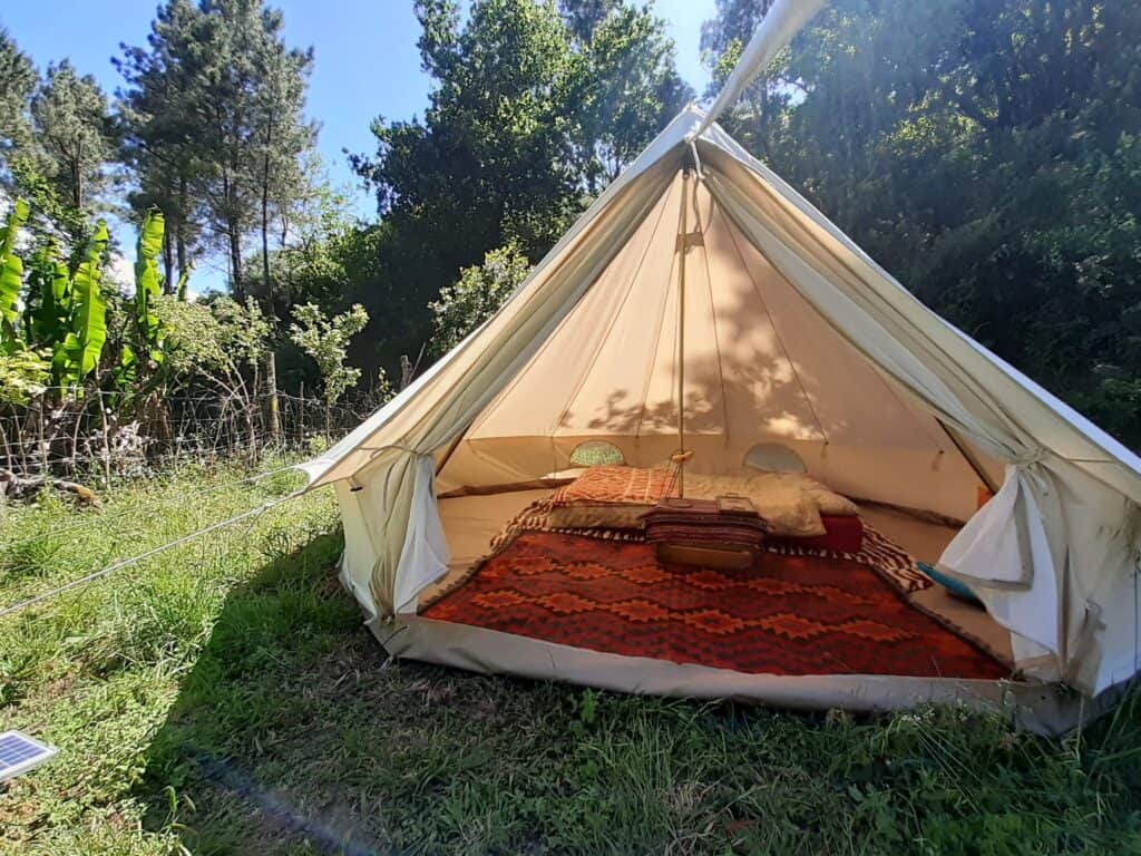 Coração Medicina 8