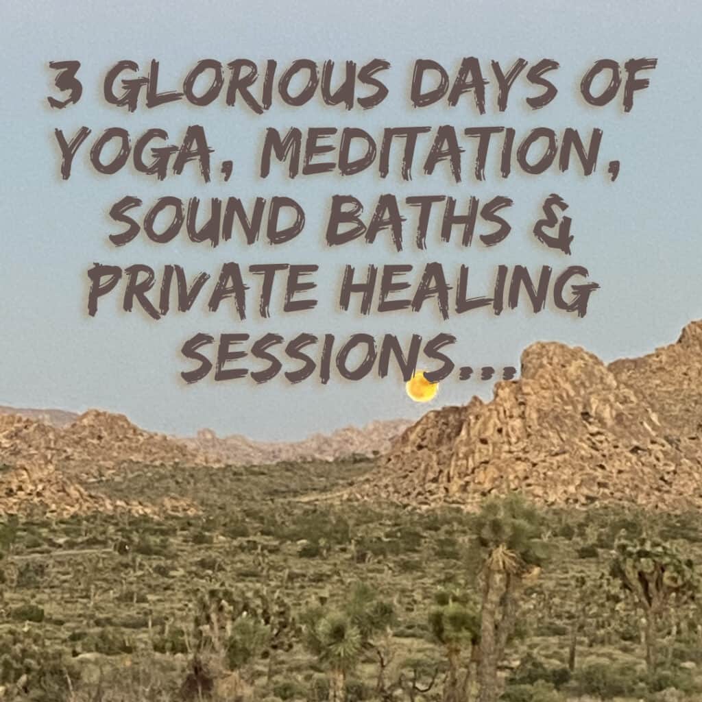 Joshua Tree Retreat with Pure Free Forever 2