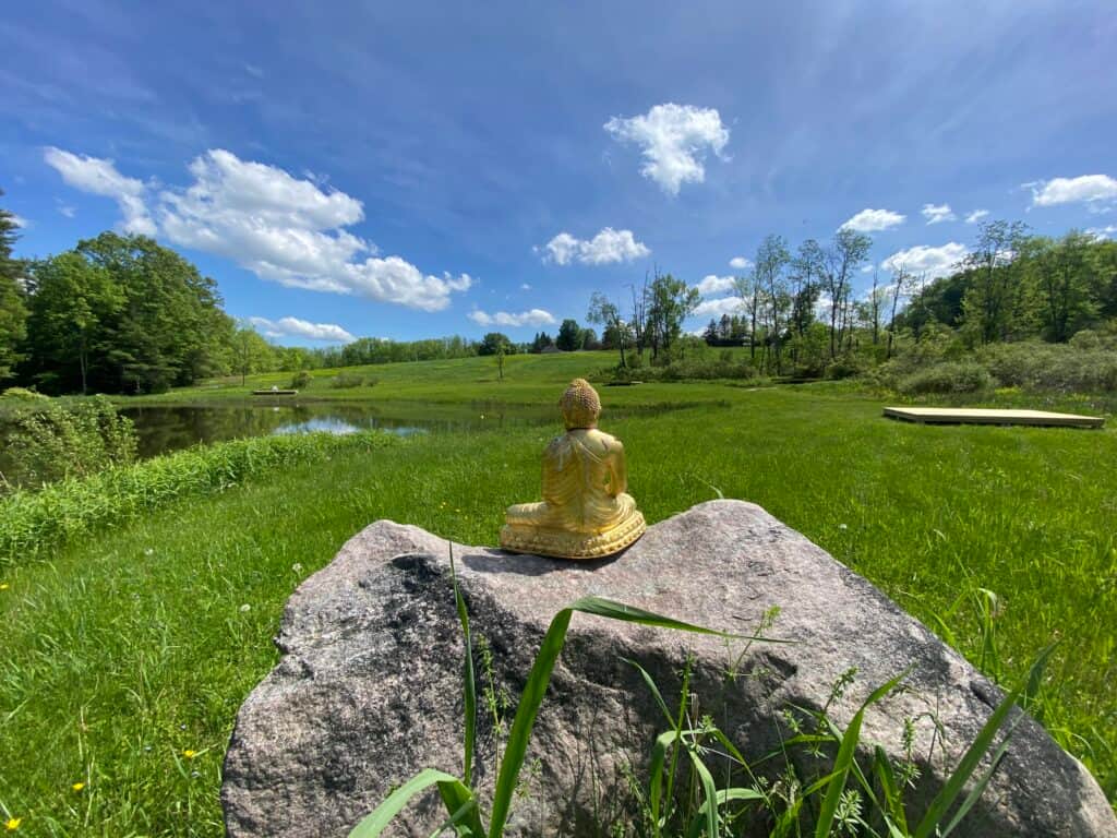 Samye Hermitage New York 3