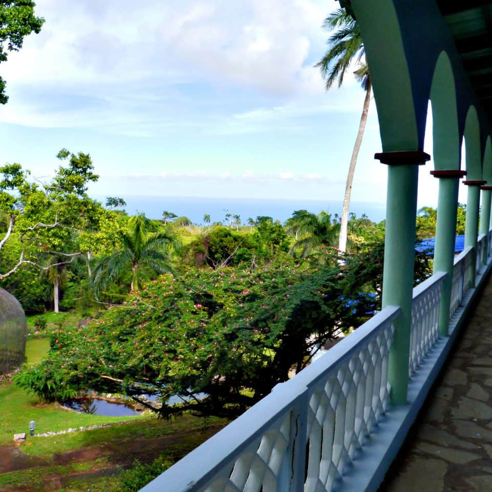 The Golden Dolphin Villa Estate 8