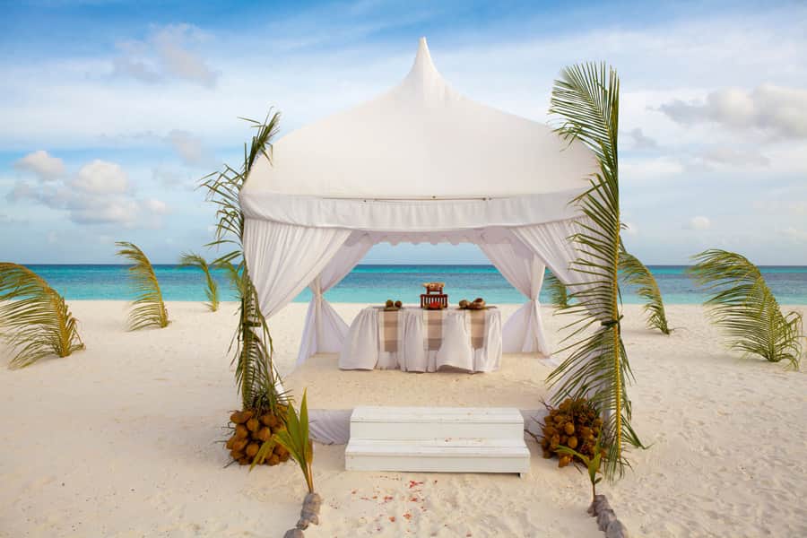 The Golden Dolphin Villa Estate 2