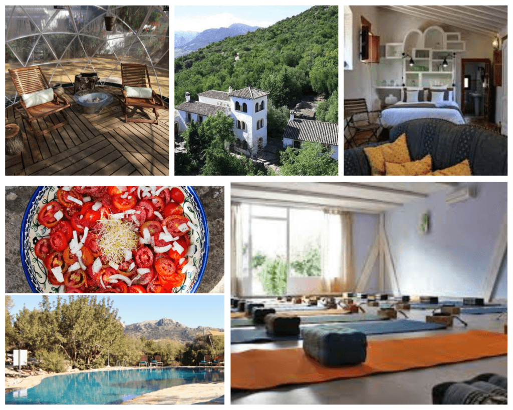 Elizabeth Phelan Pilates 5