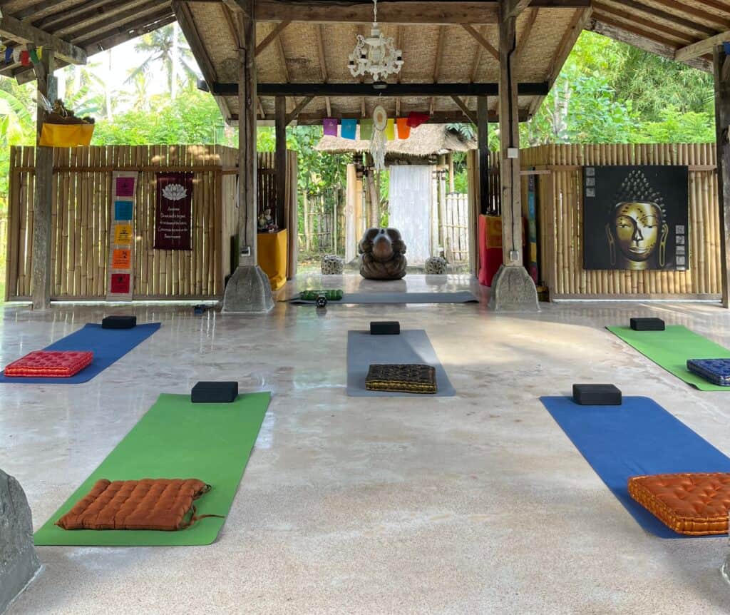 One Fit Wellness - Bali 1