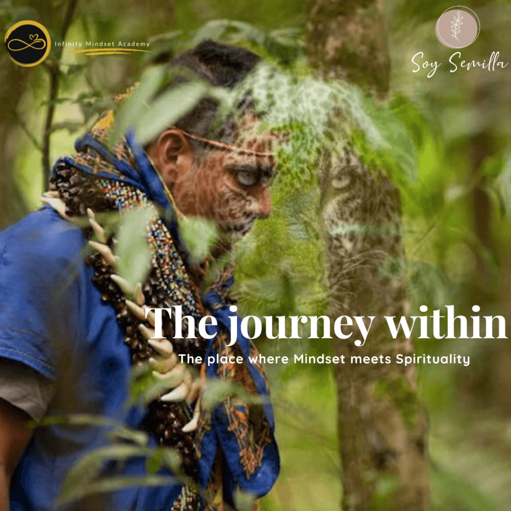 Infinity Mindset Academy & Soy Semilla 1