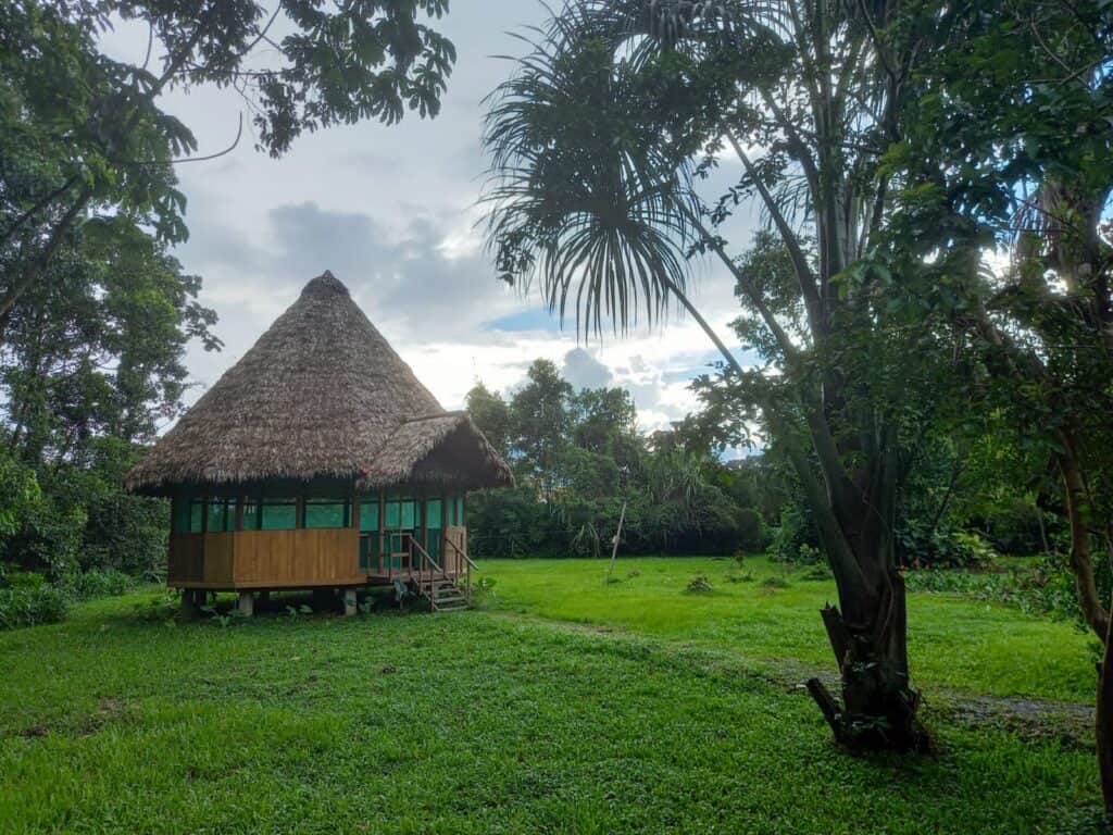 Wandari Plant Master Boutique Retreat 4