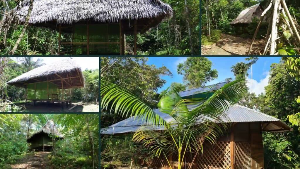 Home of Ayahuasca