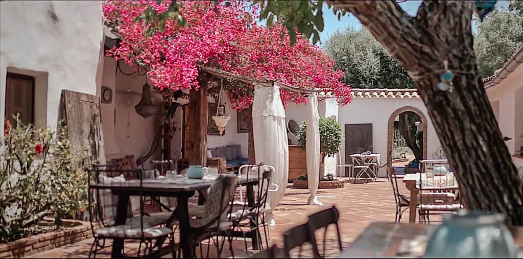 Holistic Hotel & Retreat Center Rancho Los Lobos 1