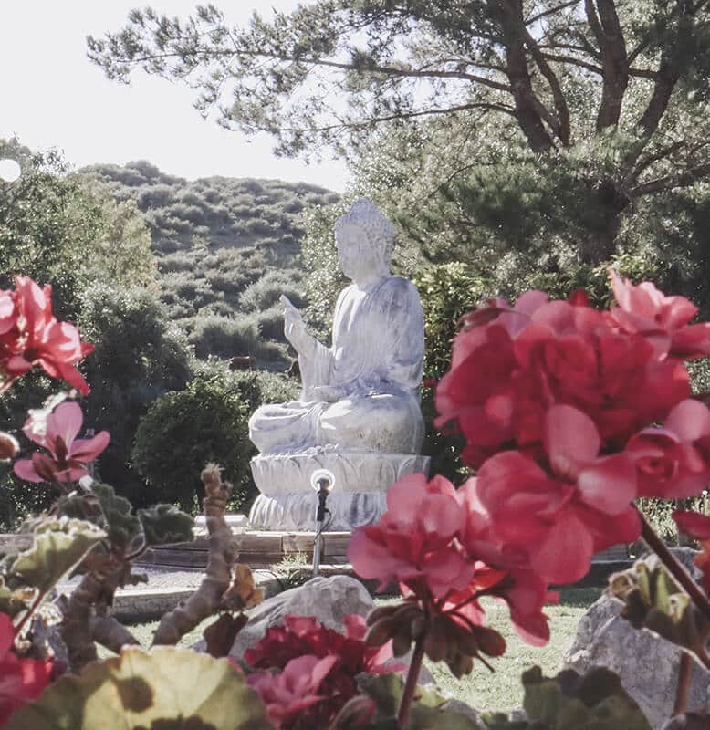 Holistic Hotel & Retreat Center Rancho Los Lobos 4