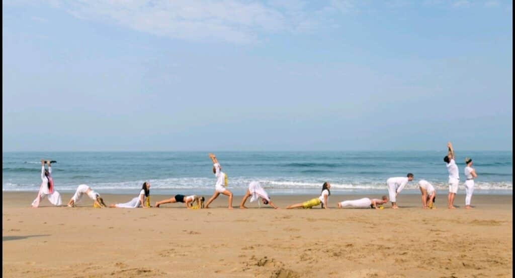 M.S.I.Y.S | MULTI-STYLE INDIAN YOGA SCHOOL 6