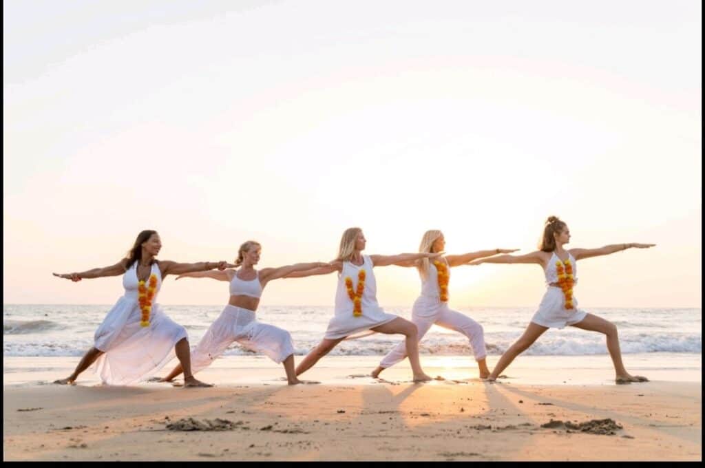 M.S.I.Y.S | MULTI-STYLE INDIAN YOGA SCHOOL 5