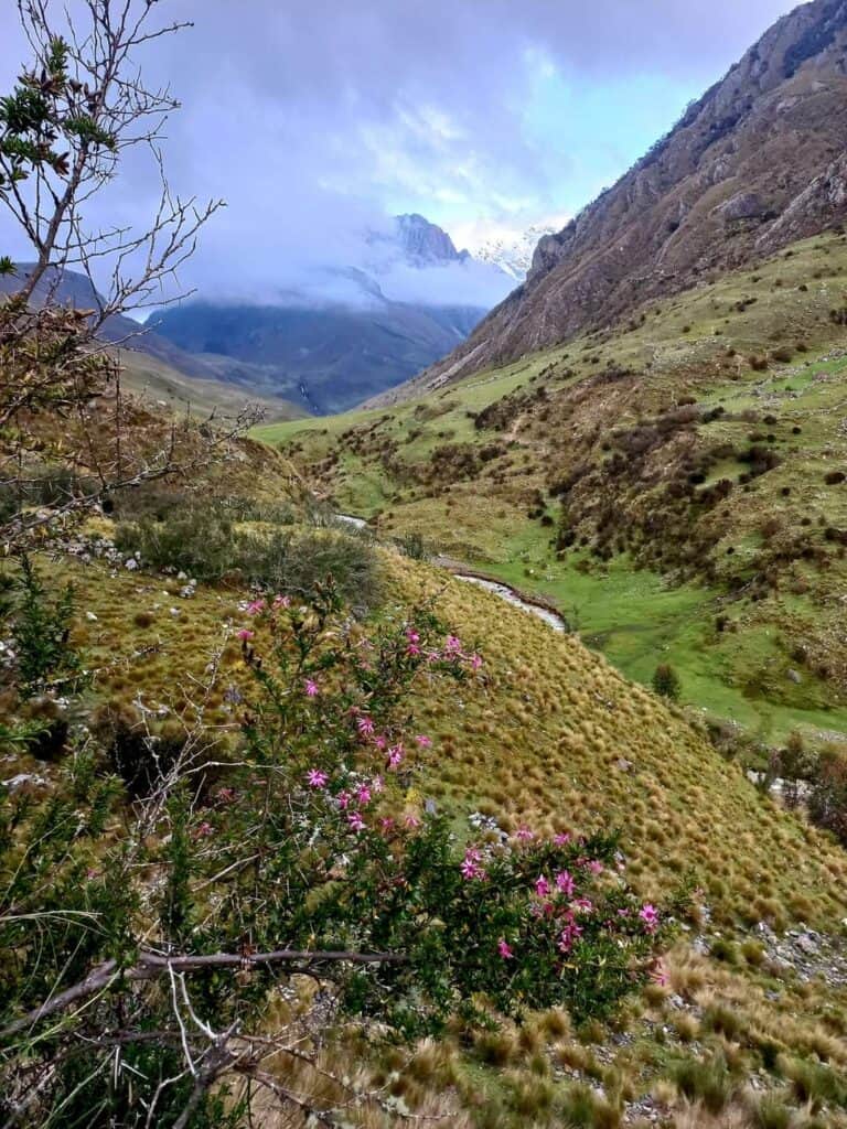 Sacred Medicine Pilgrimages Peru 6
