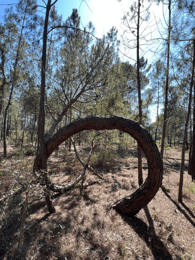 Los Santitos Retreat 6