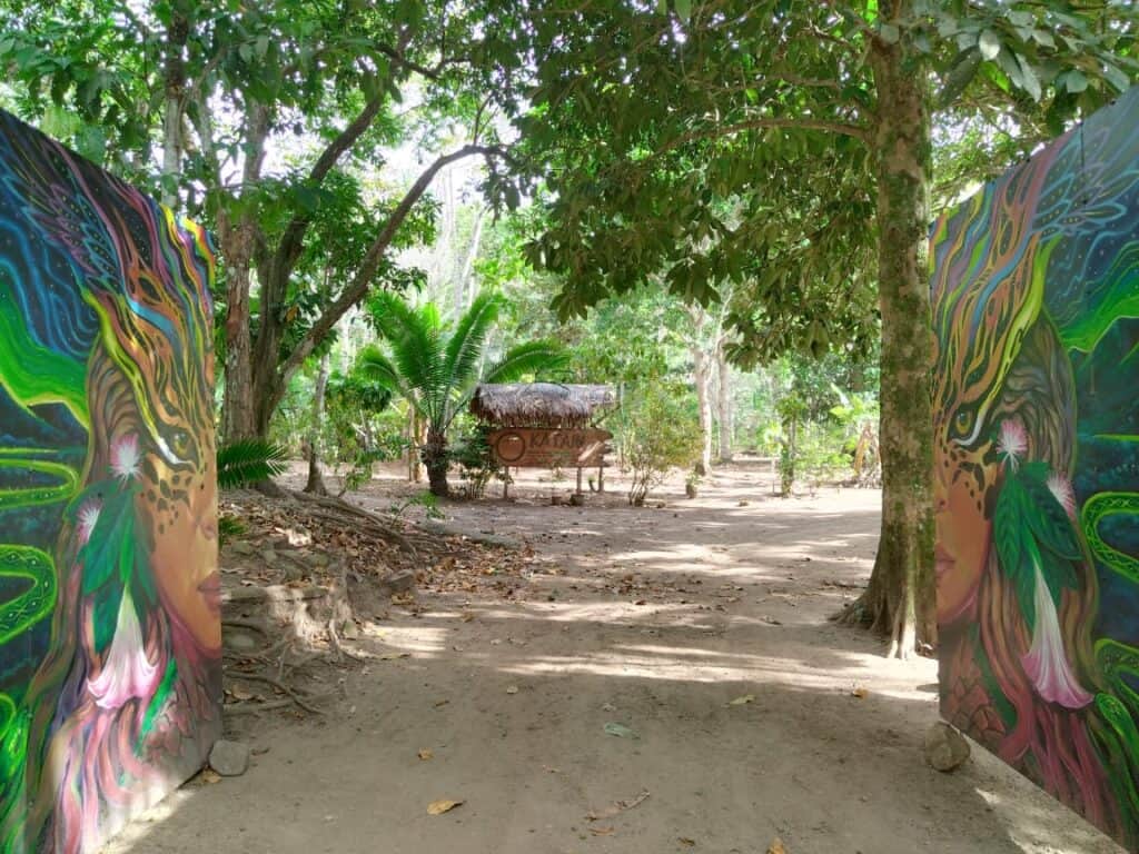 Authentic Ayahuasca & Teacher Plant Retreats 2