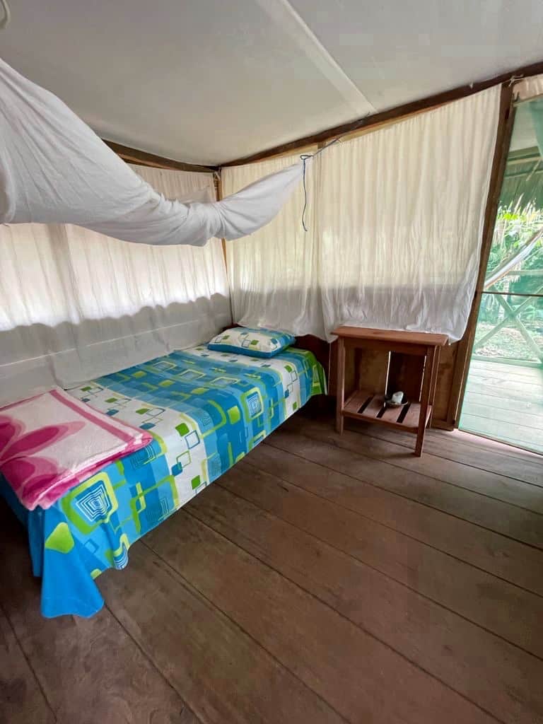 Authentic Ayahuasca & Teacher Plant Retreats 4