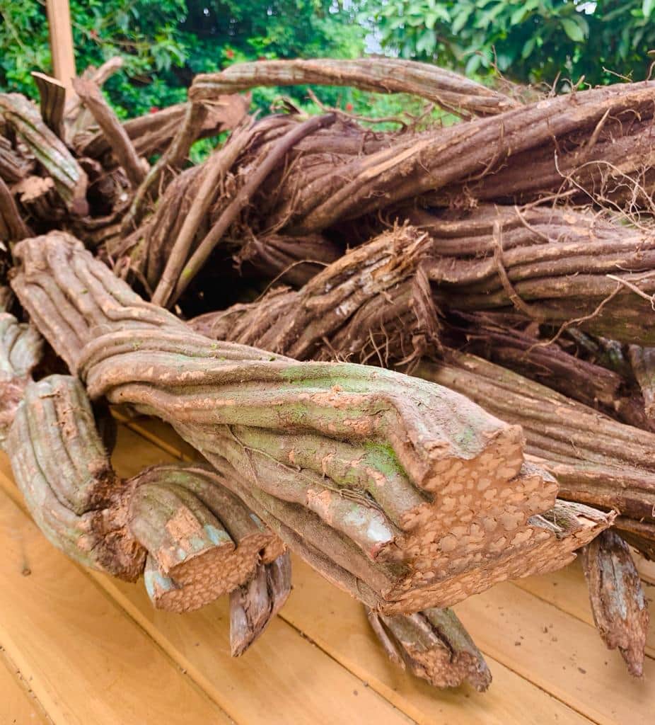 AyaShakti Retreats 2