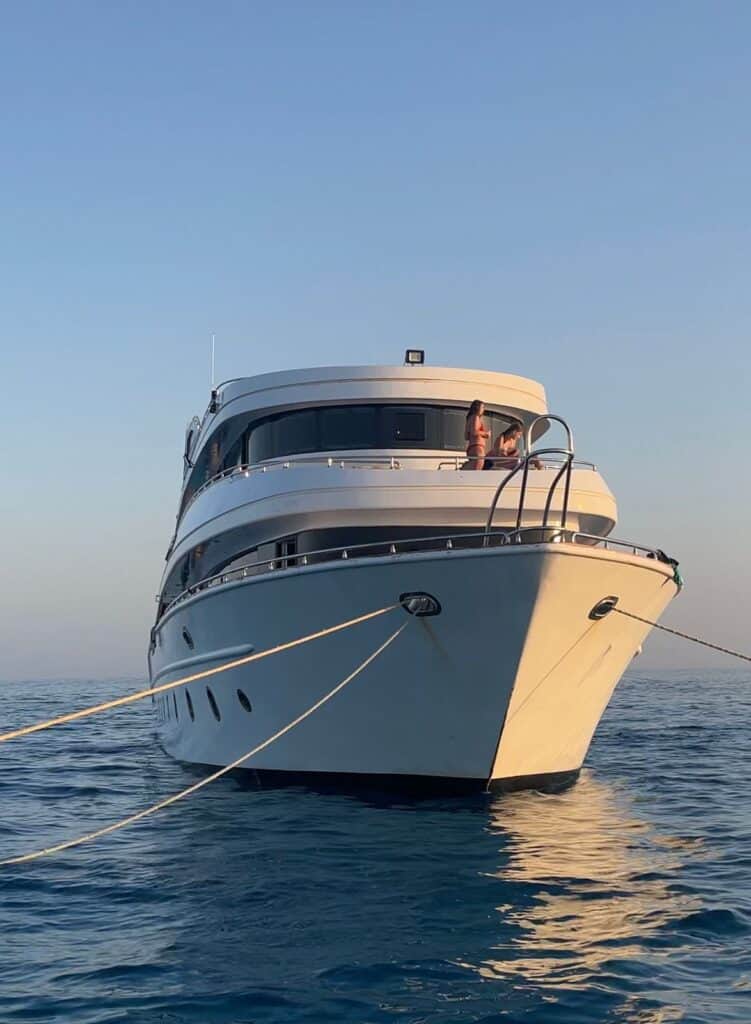 Transformative Goddesses & Dolphin Retreat Egypt 2