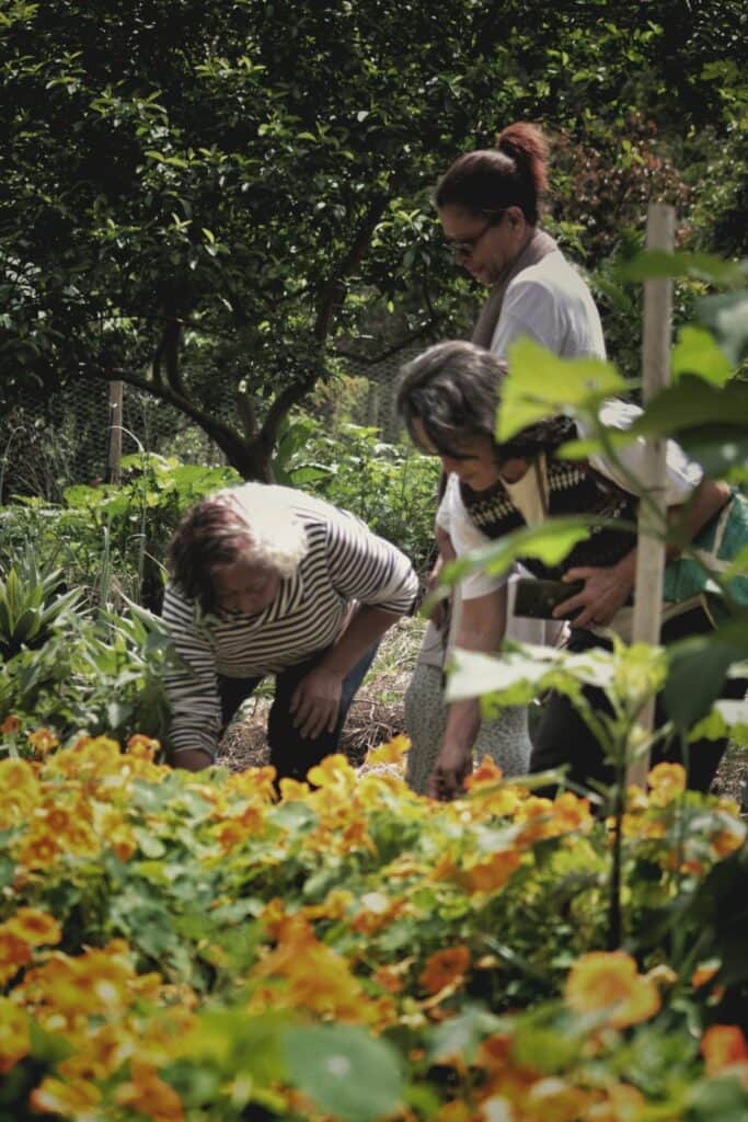 Aguarazu Shamanic SPA 7