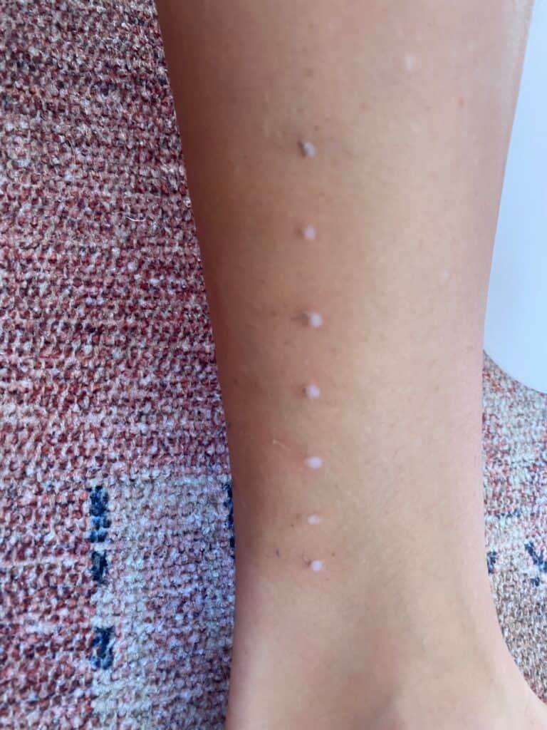 Holistic Living Studio 2