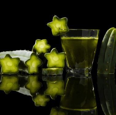 The Satori Experience 4