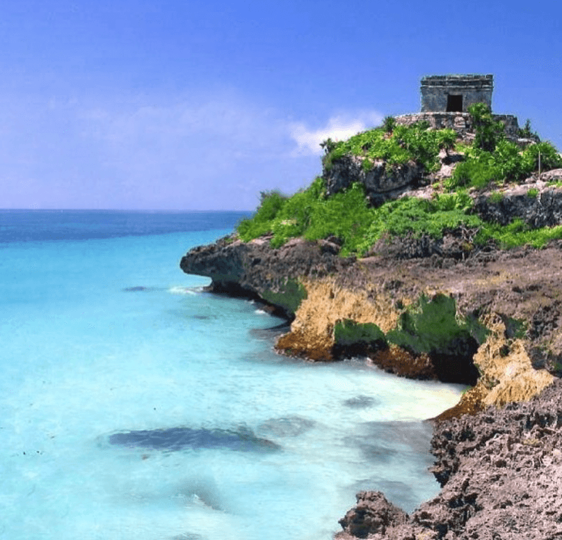 The Satori Experience