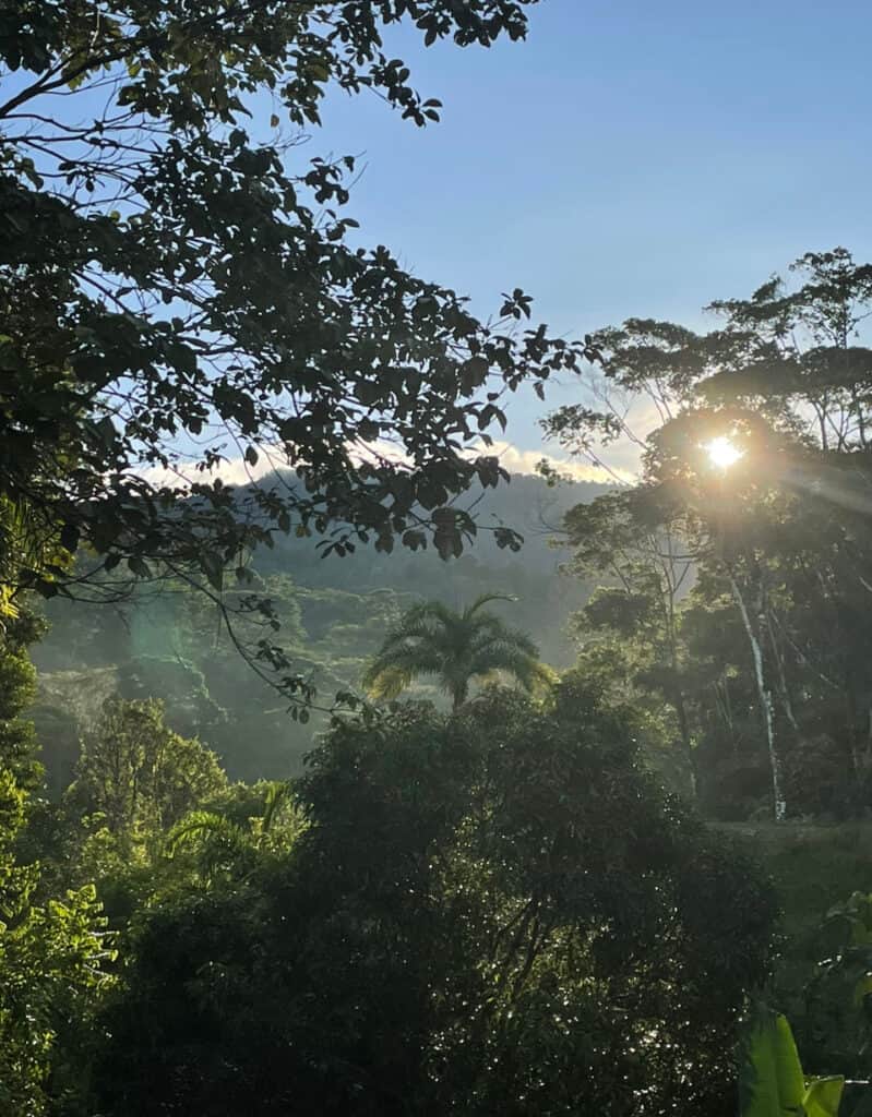 Casa Madreveda Holistic 8