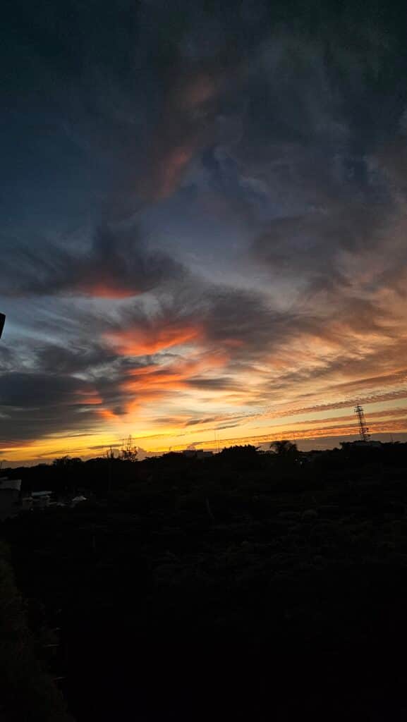 miraclevie wellness 4