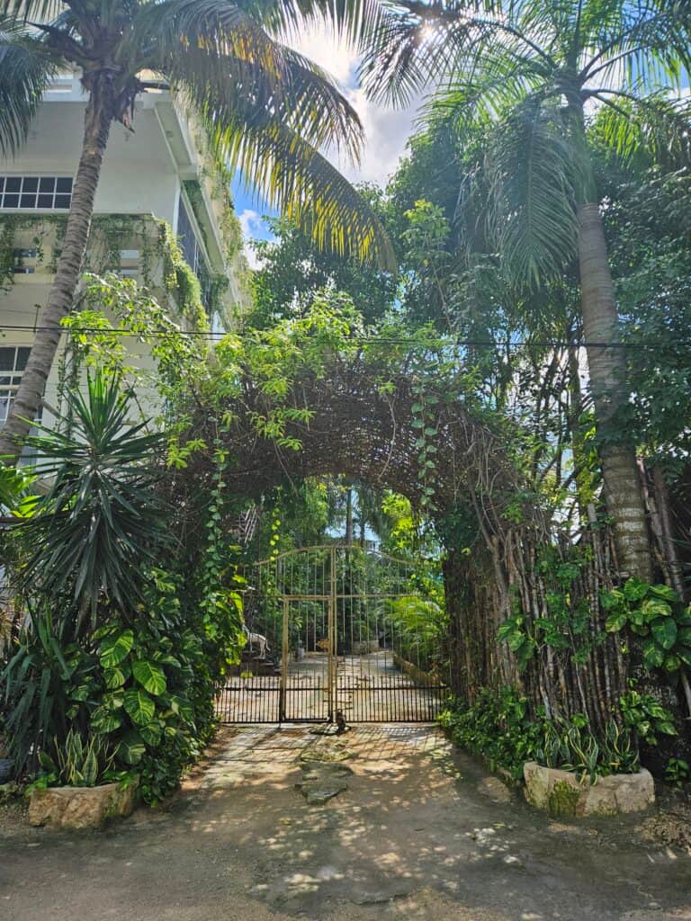 miraclevie wellness 2