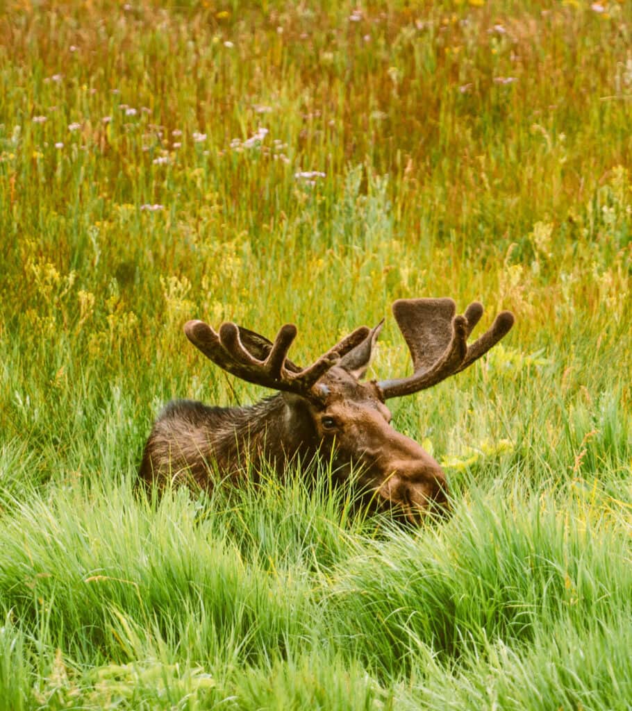 Rocky Mountain EcoDharma Retreat Center 7