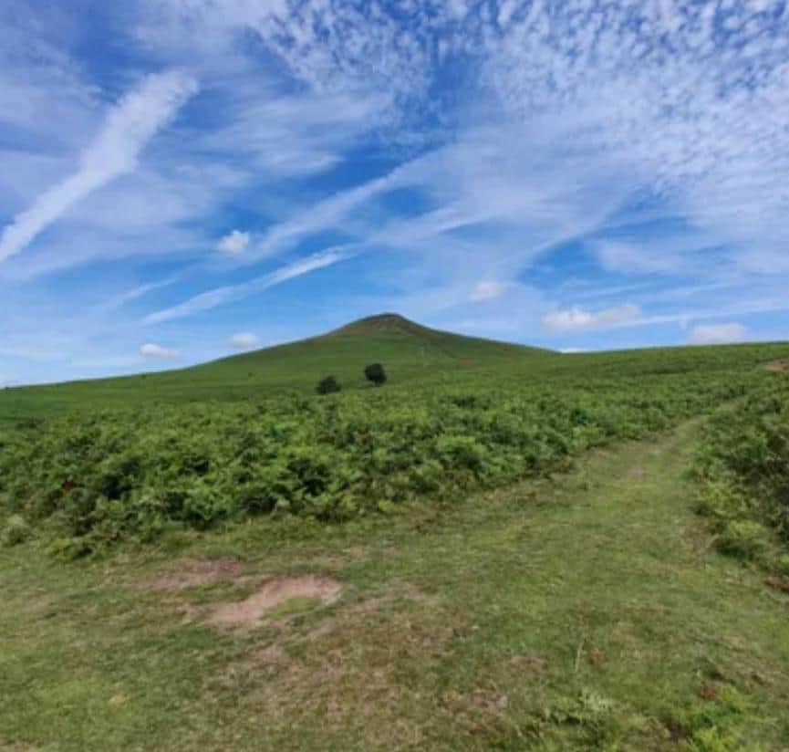 Golden Mandala Yoga 8