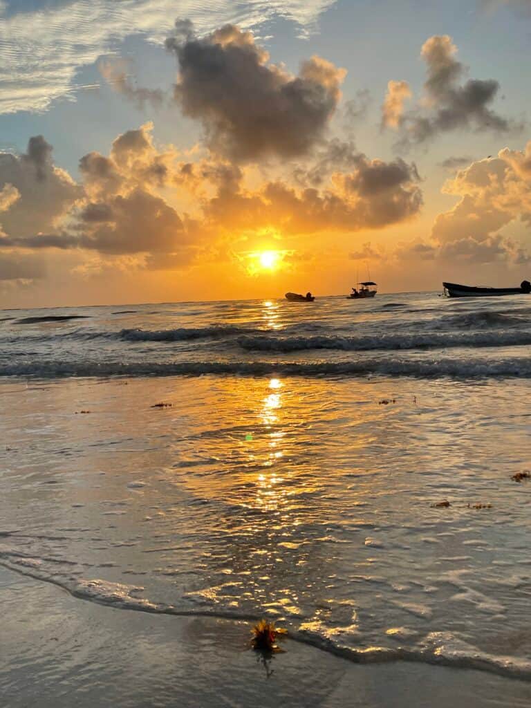 Yogattitude House of Wellness 7