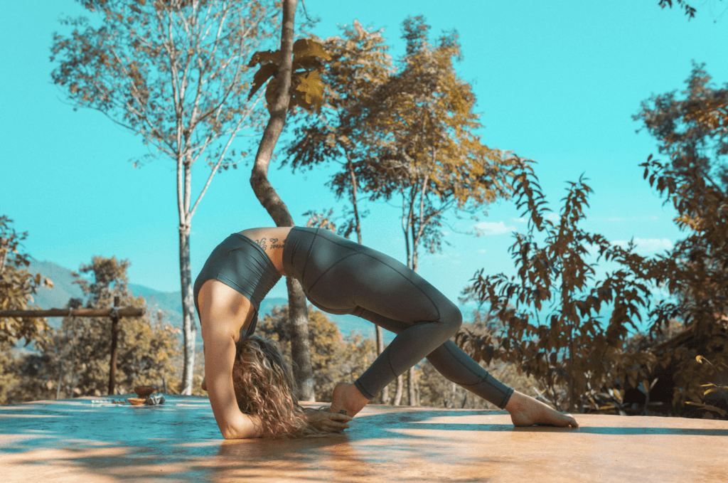 Wild Love Yoga School