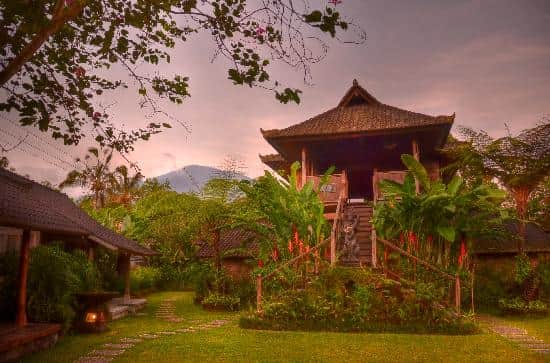 Samasthala Yoga 200-Hour Vinyasa | Yin Yoga Teacher Training 1