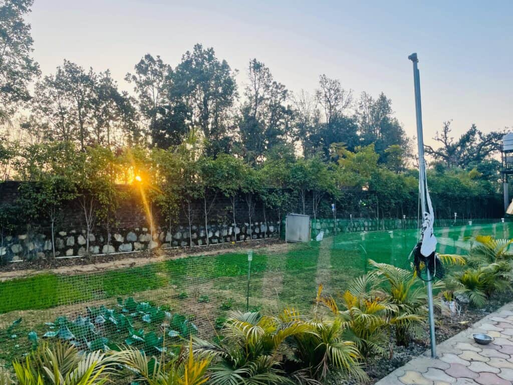 jungle tale Retreat 7