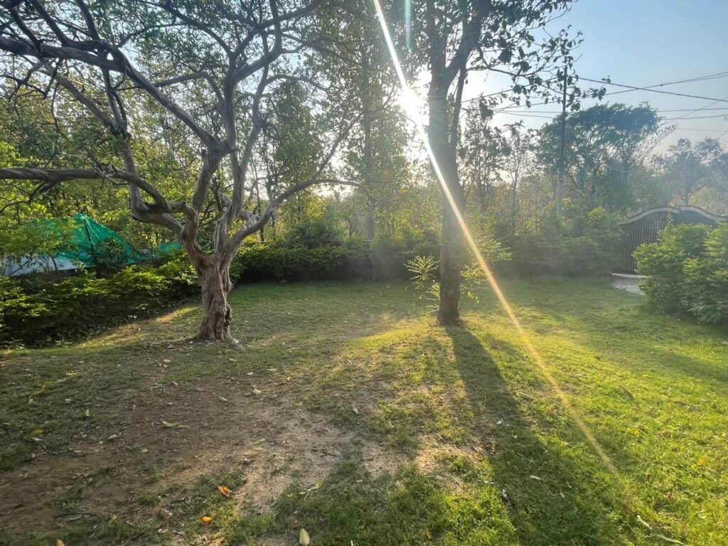 jungle tale Retreat 2