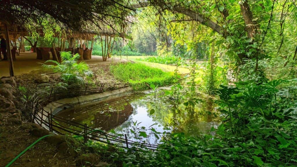 Utsav Mandir Foundation 4