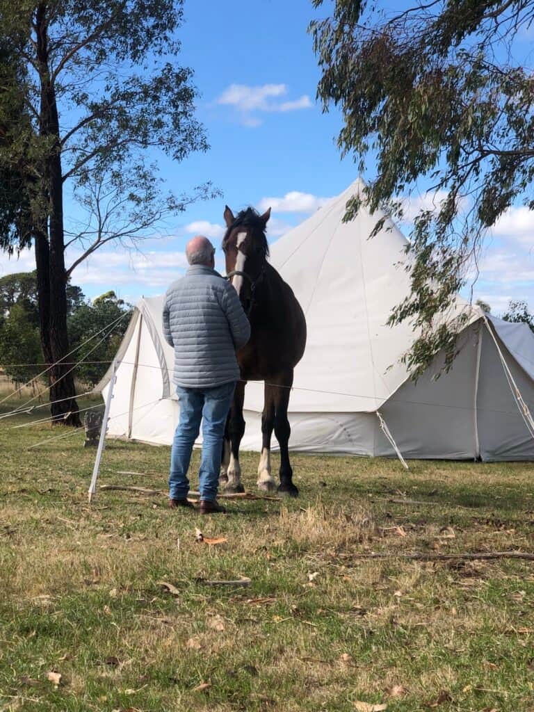 Heart of the Horse 7