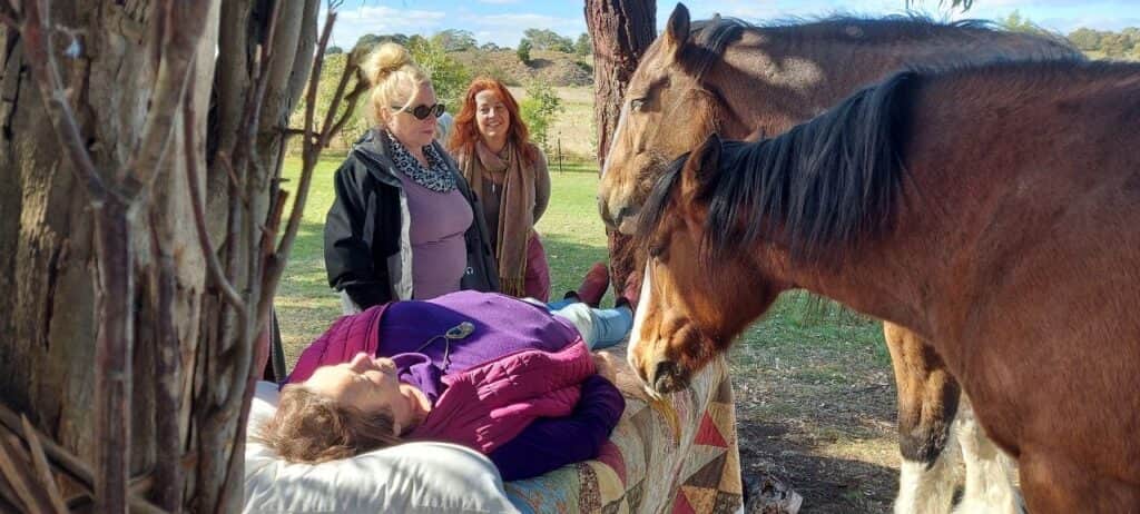 Heart of the Horse 2